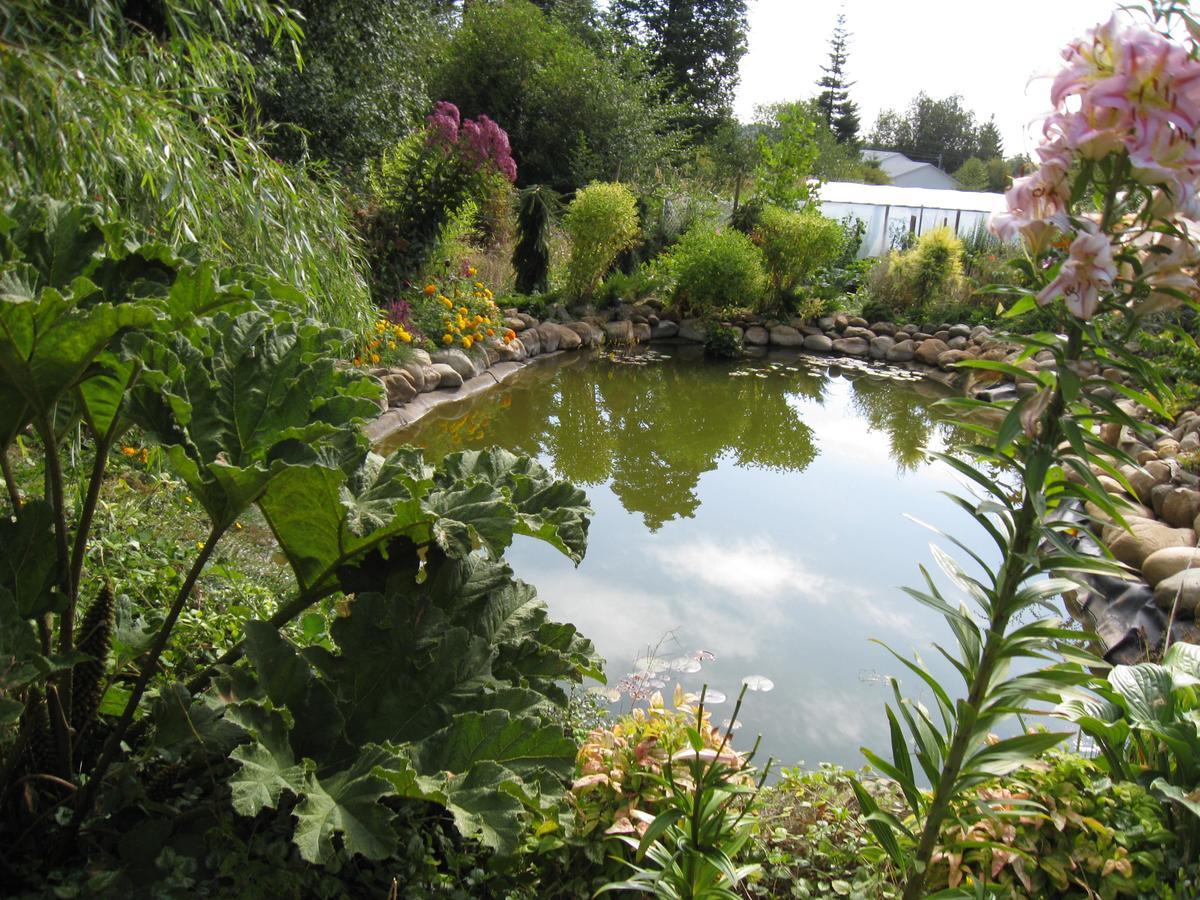 Cedar Acres Vacation Rental Fanny Bay Exterior foto